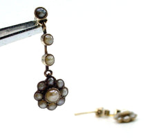 Load image into Gallery viewer, Murrle Bennet & Co. Petite Edwardian Daisy Cluster Pearl Gold Drop Earrings