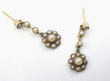 Load image into Gallery viewer, Murrle Bennet & Co. Petite Edwardian Daisy Cluster Pearl Gold Drop Earrings